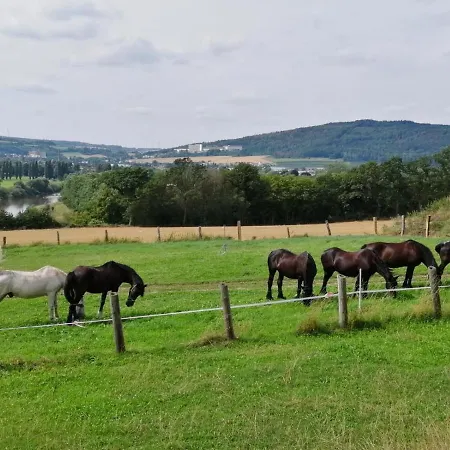 Inn Steinkrug An Der Weser 2*